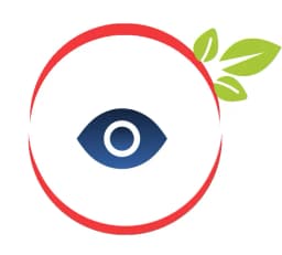 Mission icon
