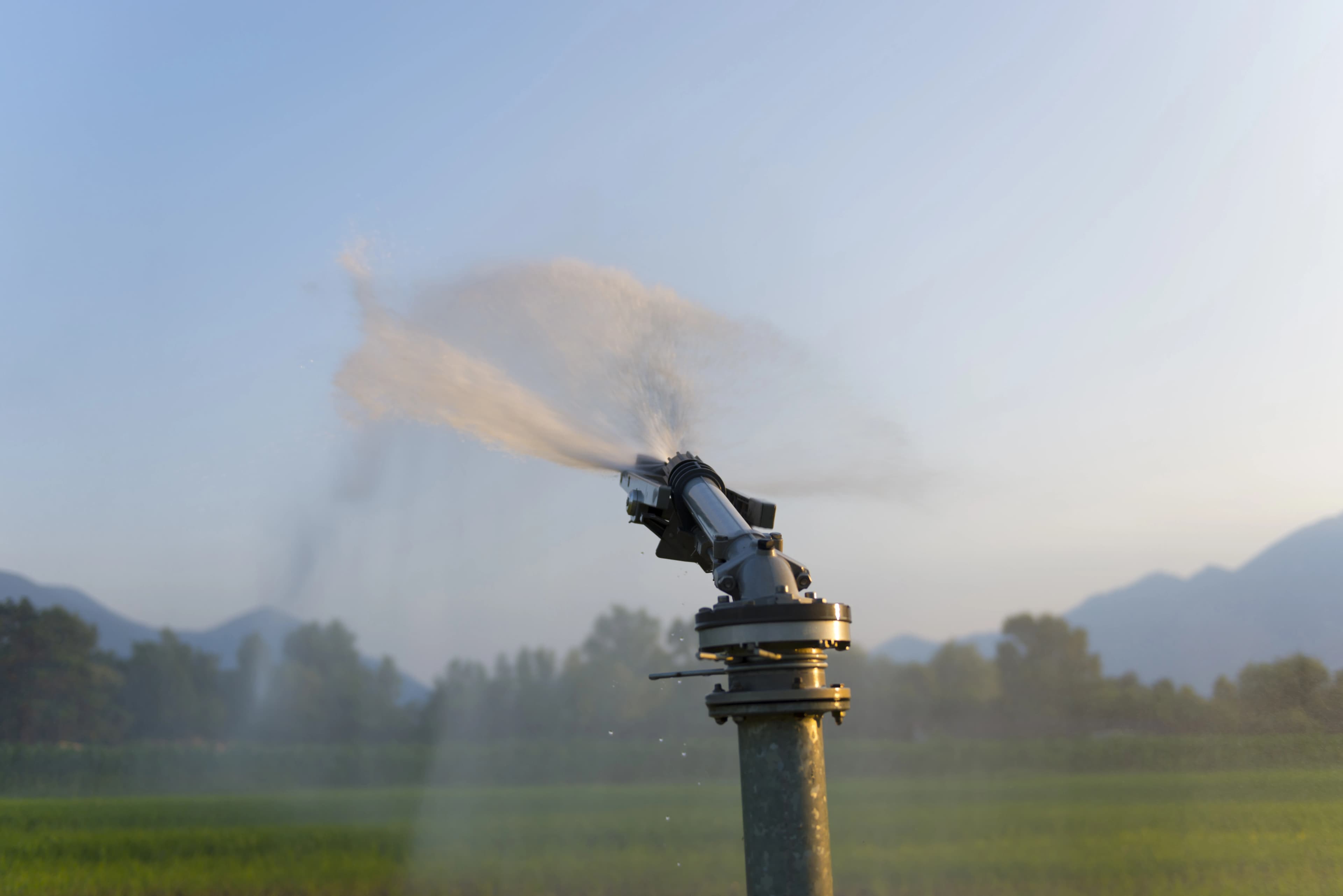 Sprinklers